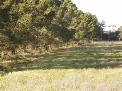 Main view of Homely rural property listing, Lot 1 Yongala Road, Peterborough SA 5422