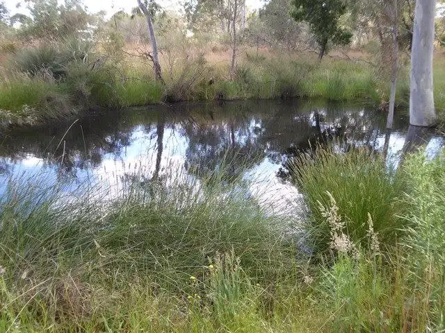 Second view of Homely rural property listing, 4712 Naracoorte Road, Naracoorte SA 5271