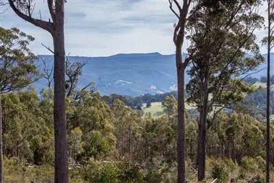 Second view of Homely land listing, 106 Vinces Saddle Road, Lower Longley TAS 7109