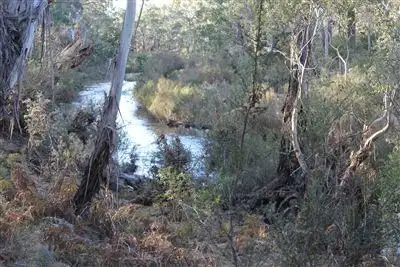 Seventh view of Homely rural property listing, 46 Krawarree Road, Braidwood NSW 2622