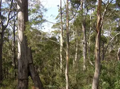 Fourth view of Homely land listing, Lot 1 Leslie Road, Kingston TAS 7050