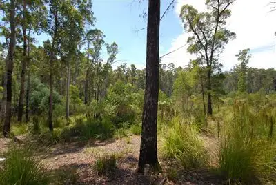 Main view of Homely land listing, 0 Irish Town Road, St Marys TAS 7215