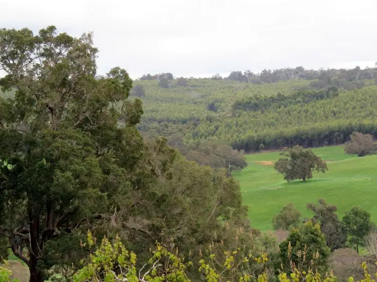 Fourth view of Homely land listing, 38 Sunridge Drive, Bridgetown WA 6255