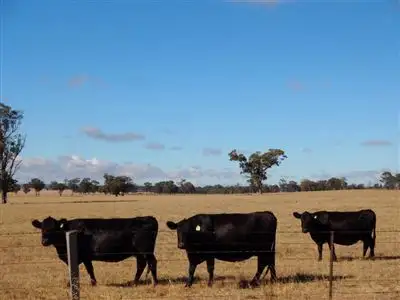 Fifth view of Homely rural property listing, 483 Nishs Road, Peechelba VIC 3678