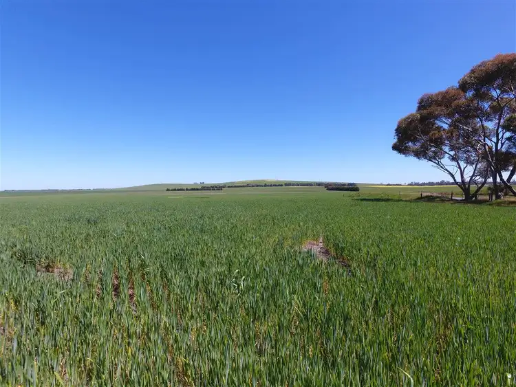 Seventh view of Homely rural property listing, 1435 Lismore-Pitfield Road, Wallinduc VIC 3351