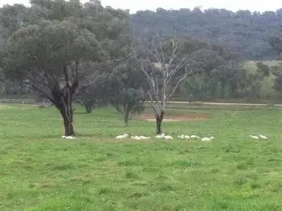 Fourth view of Homely land listing, Lot/442 Netherleigh Lane, Cootamundra NSW 2590