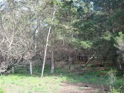 Fourth view of Homely rural property listing, Lot 1 Balloong Road, Woodside VIC 3874