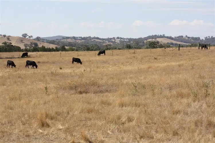 Fifth view of Homely rural property listing, Address available on request