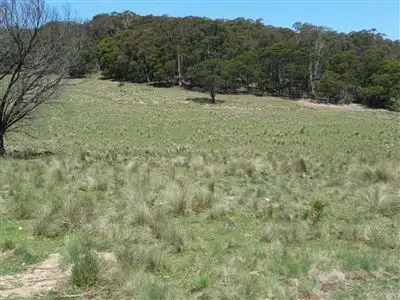 Seventh view of Homely rural property listing, Lot 3 Berlang Forest Road, Braidwood NSW 2622