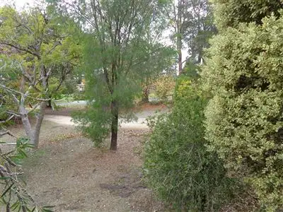 Fifth view of Homely house listing, 11544 Ellis Street, Pemberton WA 6260