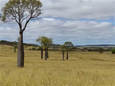 Second view of Homely rural property listing, . "Waterview", Injune QLD 4454