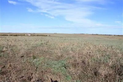 Fourth view of Homely rural property listing, Lt 146 Baumgurtel Road, Wynarka SA 5306