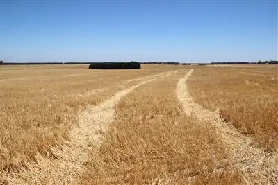 Fifth view of Homely rural property listing, 382 Mount William Road, Skipton VIC 3361