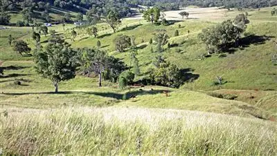 Fifth view of Homely rural property listing, 318 Spring Creek Road, Tamworth NSW 2340