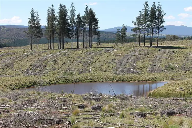 Sixth view of Homely rural property listing, Lot 94 off South Forest Way, Kindervale via, Braidwood NSW 2622