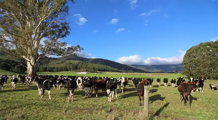 Second view of Homely rural property listing, 23 Robinsons Road, Ringarooma TAS 7263