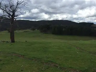 Fifth view of Homely rural property listing, The Lenore 33 Montana Road, Peelwood NSW 2583