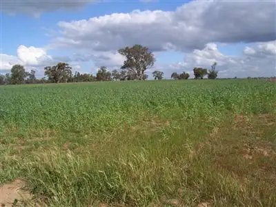 Main view of Homely rural property listing, 11 Tantonan Road, Moama NSW 2731