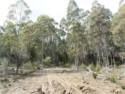 Fifth view of Homely rural property listing, 481 Priestleys Lane, Birralee TAS 7303