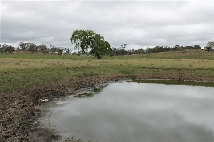 Fourth view of Homely rural property listing, 1037&1193 Eurodux Road, Braidwood NSW 2622