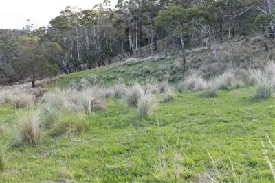 Seventh view of Homely rural property listing, 298 Mount Elrington Road, Braidwood NSW 2622
