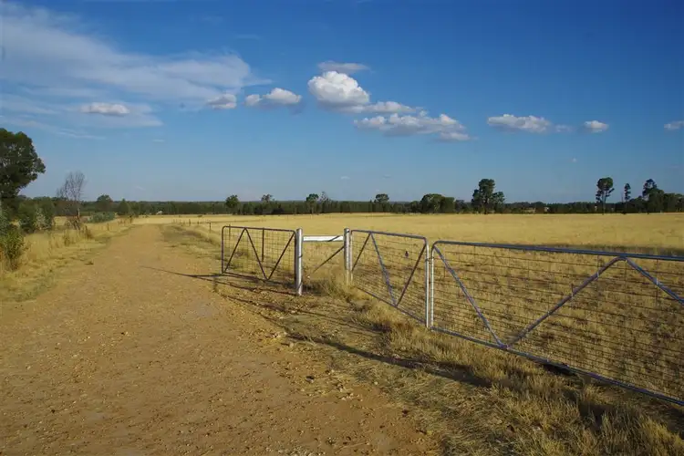 155 Gun Club Road, Narrabri NSW 2390