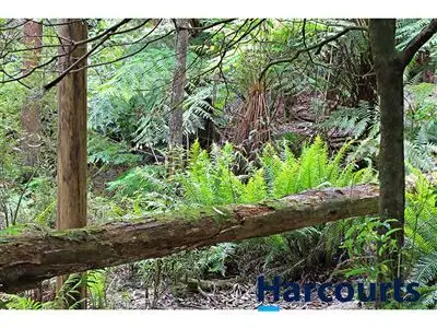 Third view of Homely rural property listing, 1717 Main Neerim Road, Neerim South VIC 3831