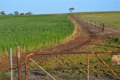 Third view of Homely rural property listing, . Greylands, Kellerberrin WA 6410