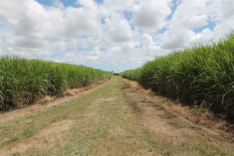 Fifth view of Homely rural property listing, 18 Burdekin Road, Home Hill QLD 4806