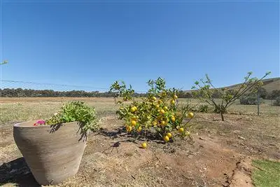 Seventh view of Homely rural property listing, Address available on request