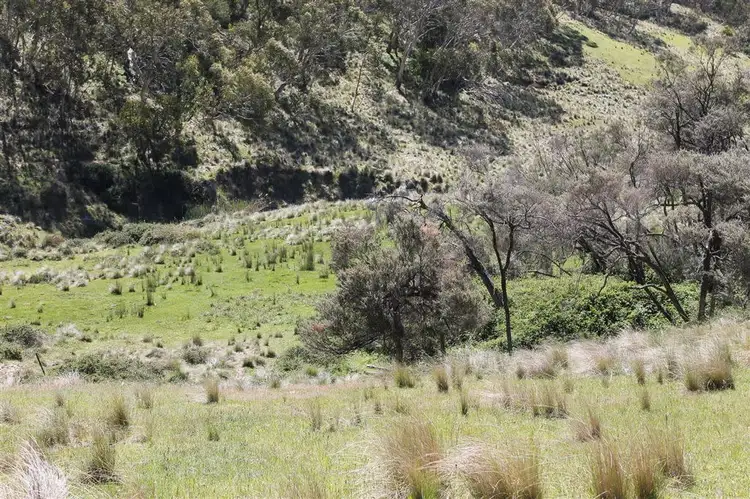 Second view of Homely rural property listing, Lot 94 off South Forest Way, Kindervale via, Braidwood NSW 2622