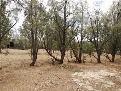 Seventh view of Homely house listing, 4114 Hopetoun - Ravensthorpe Road, Ravensthorpe WA 6346