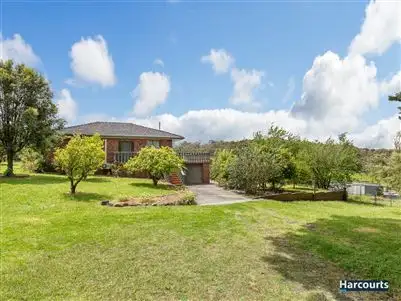 Fifth view of Homely house listing, 184 Belgrave-Hallam Road, Belgrave South VIC 3160