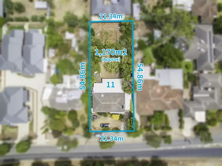 Main view of Homely house listing, 74 Glen Stuart Road, Magill SA 5072