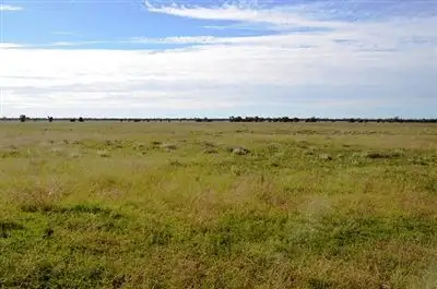 Sixth view of Homely rural property listing, * Miradong, Nyngan NSW 2825