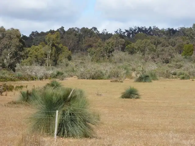 Sixth view of Homely rural property listing, 4712 Naracoorte Road, Naracoorte SA 5271