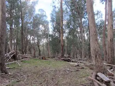 Seventh view of Homely rural property listing, Lot 3 Penny Lane, Ruffy VIC 3666