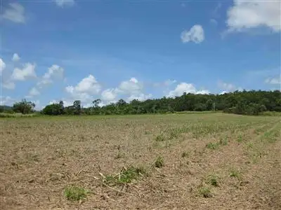 Fourth view of Homely rural property listing, 0 El Arish-Mission Beach Road, Maria Creeks QLD 4855