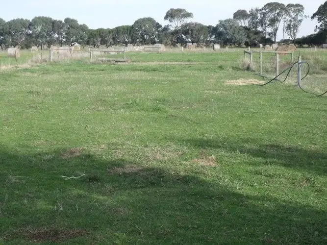 Sixth view of Homely rural property listing, 31-41 McLean Street, Yarram VIC 3971