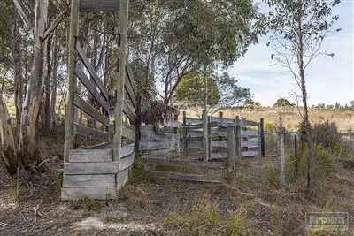 Fifth view of Homely land listing, - Boundary Creek Road, Judbury TAS 7109