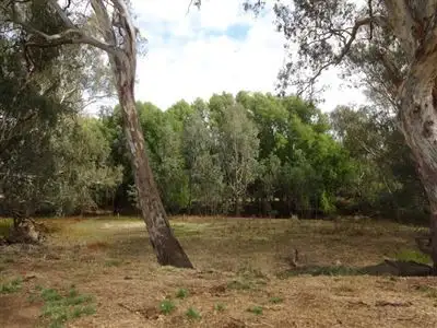 Fifth view of Homely rural property listing, 1617 Wangaratta-Whitfield Road, Docker VIC 3678