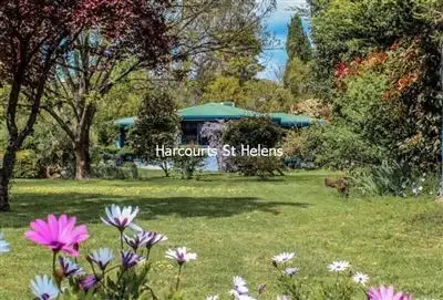 Third view of Homely unit listing, 16 Tasman Highway, St Helens TAS 7216