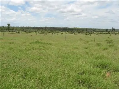 Third view of Homely rural property listing, " Jabiru", Emerald QLD 4720
