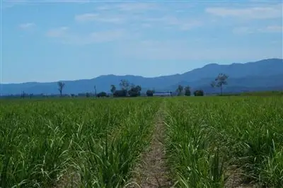 Fifth view of Homely rural property listing, " SPRINGERS", Ingham QLD 4850