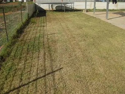 Sixth view of Homely house listing, 25 Cornish Street, Cobar NSW 2835