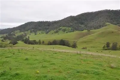 Fourth view of Homely rural property listing, 1662 Sandy Creek Rd, "Quince Tree", McCullys Gap via, Aberdeen NSW 2336