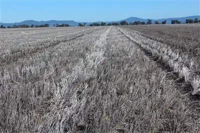 Fifth view of Homely rural property listing, Lalagooli/West Normans Rd, Gunnedah NSW 2380