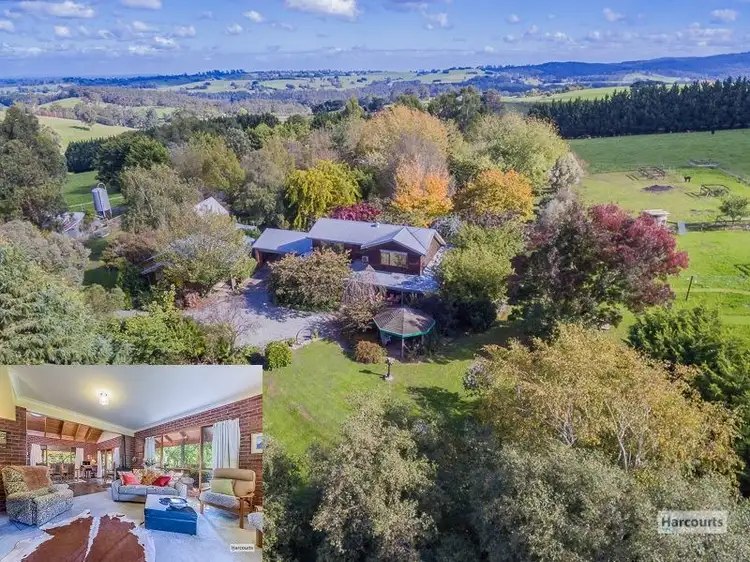 Main view of Homely house listing, 2085 Main Neerim Road, Neerim South VIC 3831