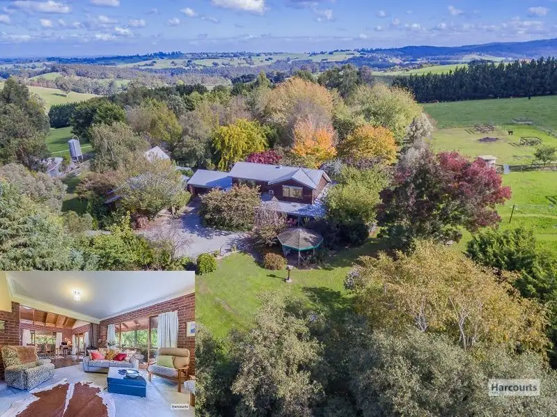 Main view of Homely house listing, 2085 Main Neerim Road, Neerim South VIC 3831