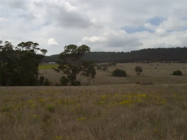 Third view of Homely rural property listing, 534 Linthorpe Valley Road, Southbrook QLD 4363